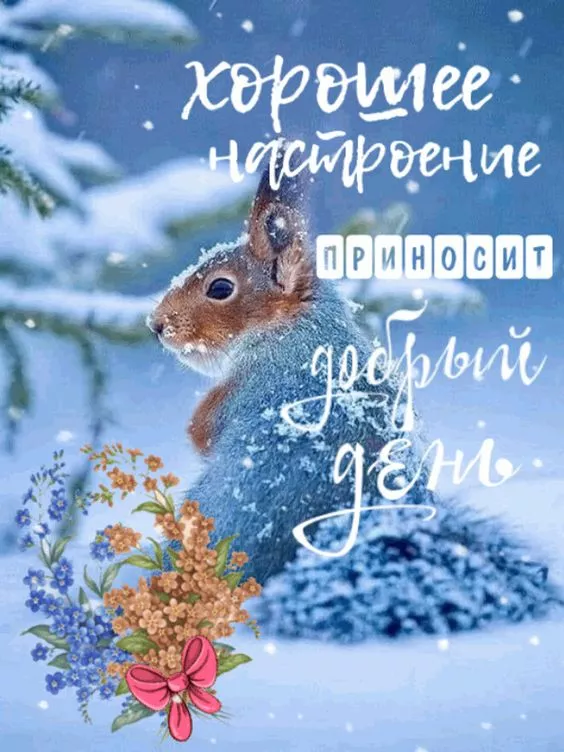 Картинки и гифки Доброго зимнего вечера. Хорошего зимнего вечера картинки