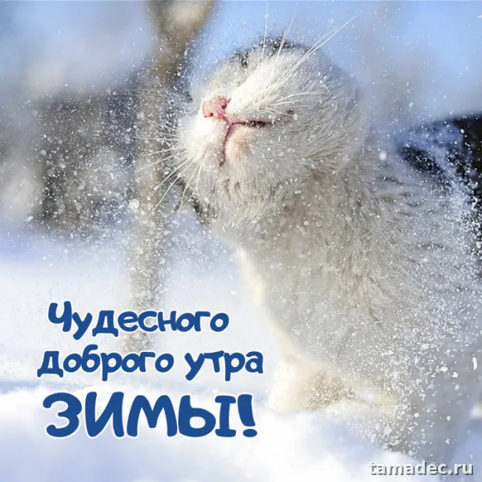Красивые новогодние картинки Доброе утро. Доброе зимнее утро картинки