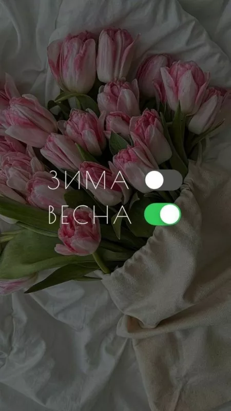 Картинки и гифки с Первым днем весны. Картинки с пожеланиями с первым днем весны