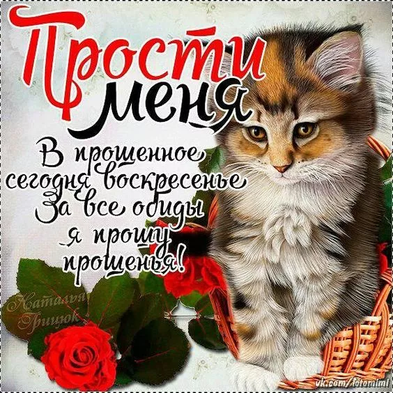 Открытки и картинки с Масленицей . Красивые картинки с масленицей