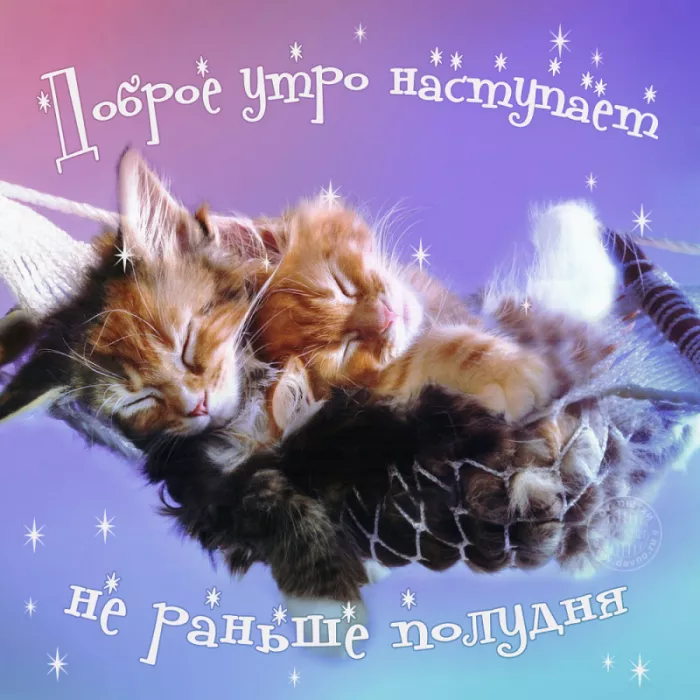 Прикольные картинки Доброе утро . Доброе утро картинки прикольные поднимающие