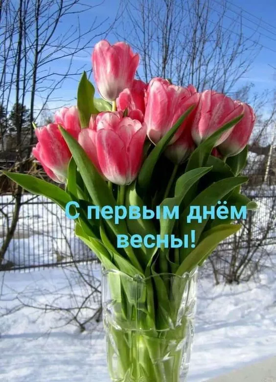 Картинки и гифки с Первым днем весны. С первым днем весны картинки