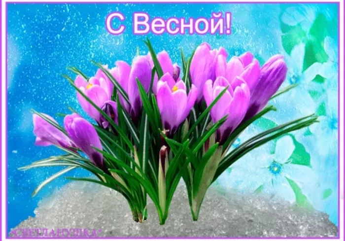 Картинки и гифки с Первым днем весны. Картинки с пожеланиями с первым днем весны