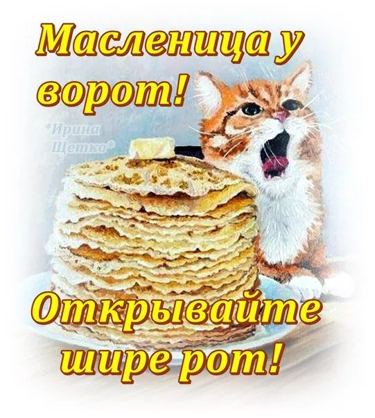 Открытки и картинки с Масленицей . Красивые картинки с масленицей