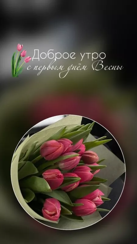 Картинки и гифки с Первым днем весны. С днем первой весны картинки красивые