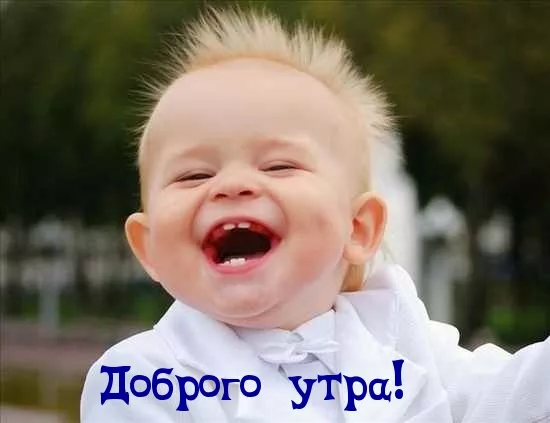 Прикольные картинки Доброе утро . Доброе утро картинки прикольные поднимающие