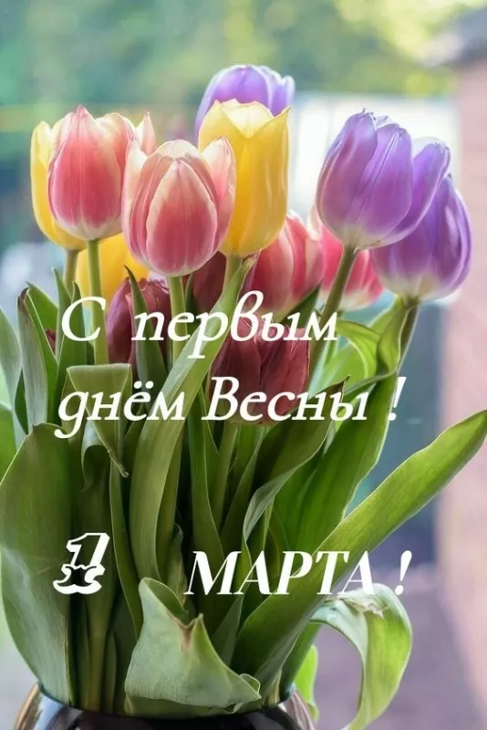 Картинки и гифки с Первым днем весны. С первым днем весны картинки
