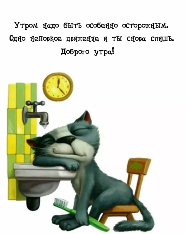 Прикольные картинки Доброе утро . Доброе утро картинки прикольные поднимающие