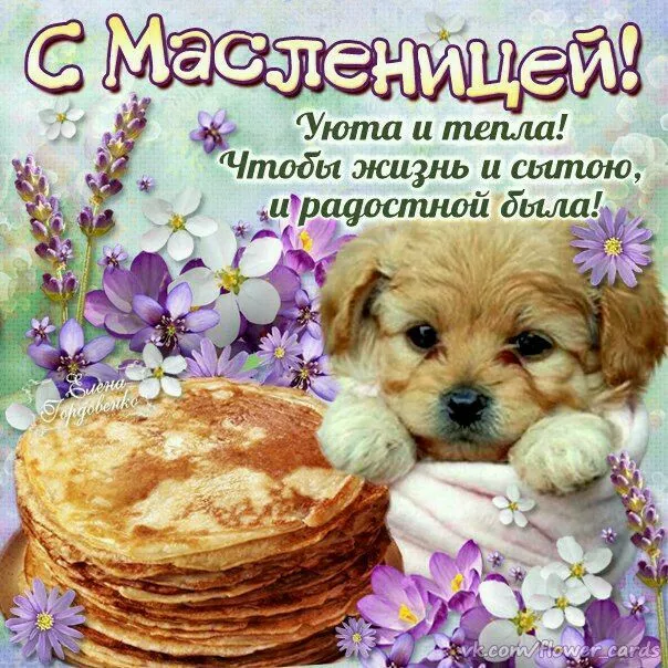 Открытки и картинки с Масленицей . Красивые картинки с масленицей