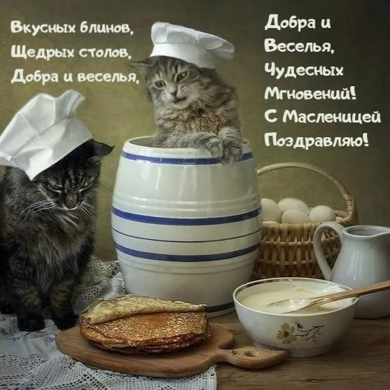 Открытки и картинки с Масленицей . Открытки с началом масленицы