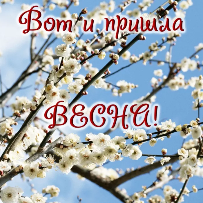 Картинки и гифки с Первым днем весны. Картинки с пожеланиями с первым днем весны