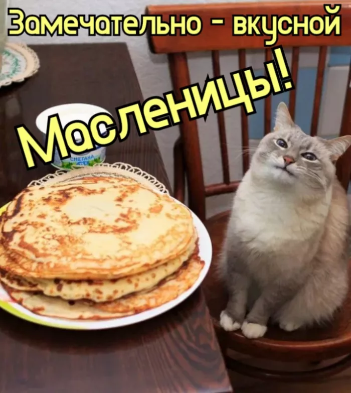 Открытки и картинки с Масленицей . Открытки с масленицей