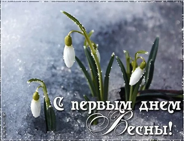 Картинки и гифки с Первым днем весны. Картинки с днем первой весны