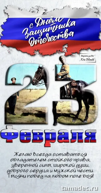 Прикольные картинки с поздравлениями на 23 февраля. 23 февраля с днем защитника отечества картинки супер прикольные