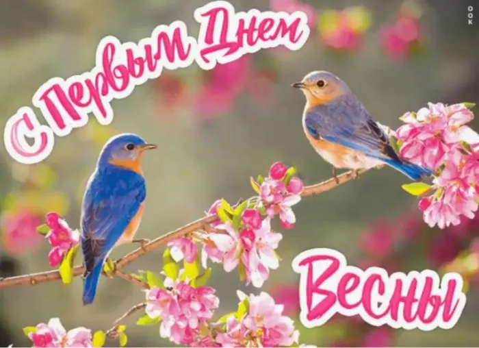 Картинки и гифки с Первым днем весны. С первым днем весны картинки