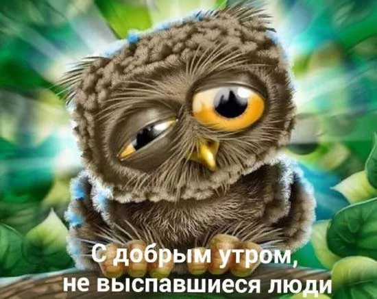 Прикольные картинки Доброе утро . Доброе утро картинки прикольные поднимающие