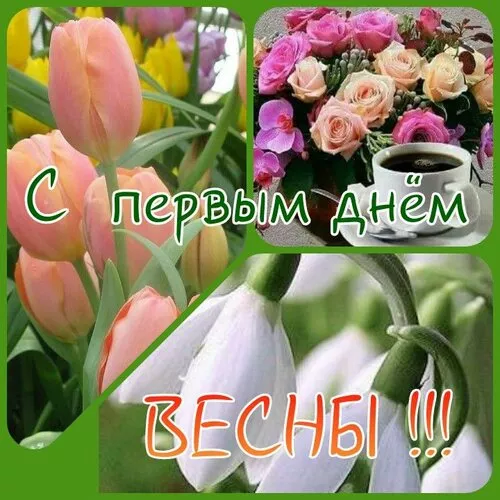 Картинки и гифки с Первым днем весны. С днем первой весны картинки красивые