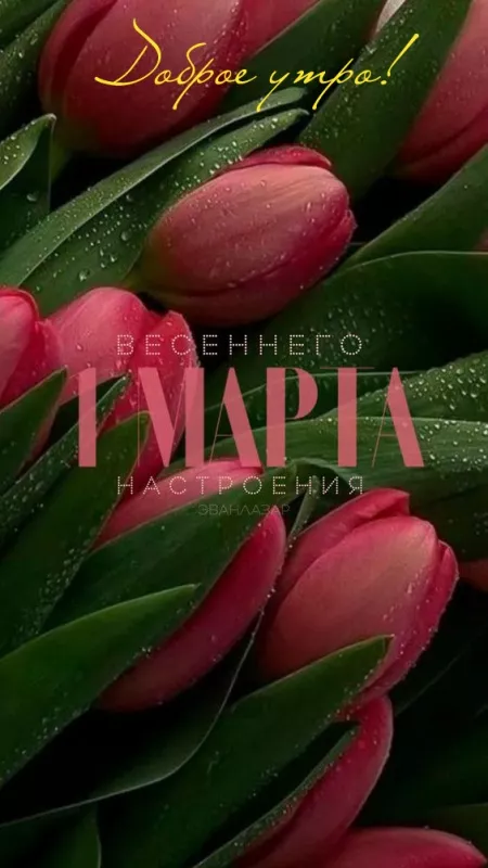 Картинки и гифки с Первым днем весны. С днем первой весны картинки красивые