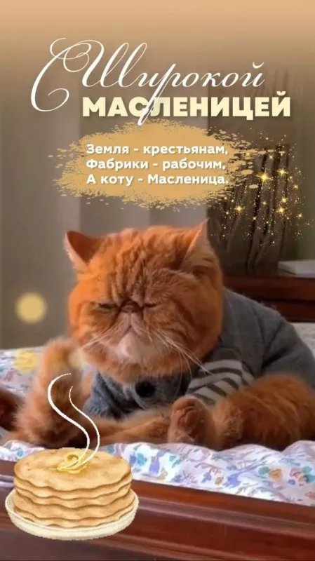 Открытки и картинки с Масленицей . Красивые картинки с масленицей