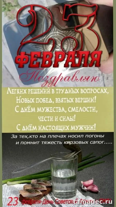 Прикольные картинки с поздравлениями на 23 февраля. 23 февраля с днем защитника отечества картинки супер прикольные