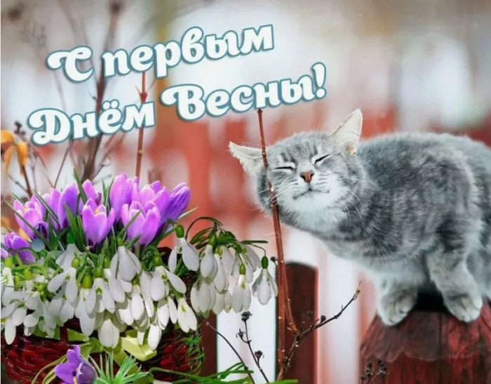 Картинки и гифки с Первым днем весны. Картинки с пожеланиями с первым днем весны