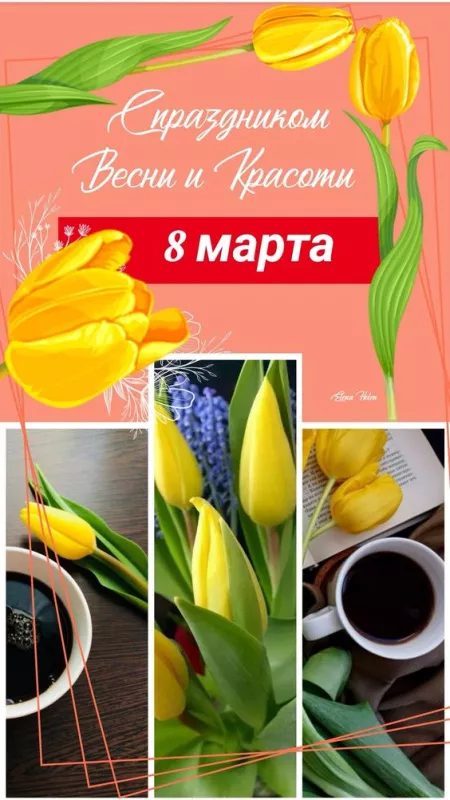 200 прикольных картинок на 8 Марта. Красивые картинки на 8 марта бесплатно