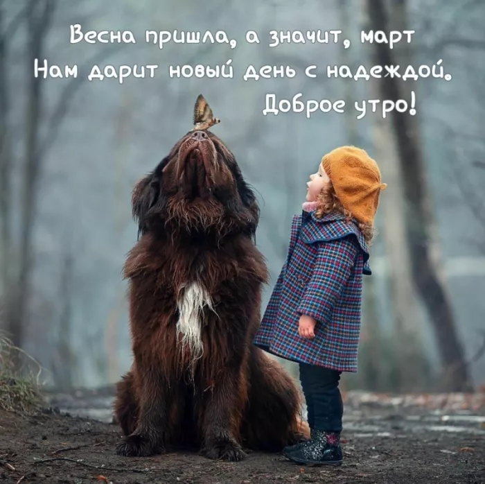 Красивые картинки и гифки Доброе утро марта. Картинки с добрым утром март