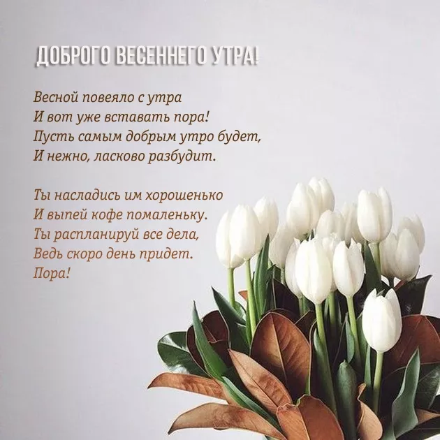 Красивые картинки Доброго весеннего утра. Доброе утро картинки весенние позитивные красивые