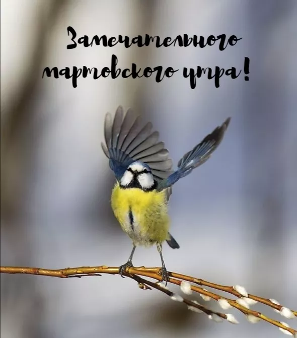 Красивые картинки и гифки Доброе утро марта. Картинки с добрым утром март