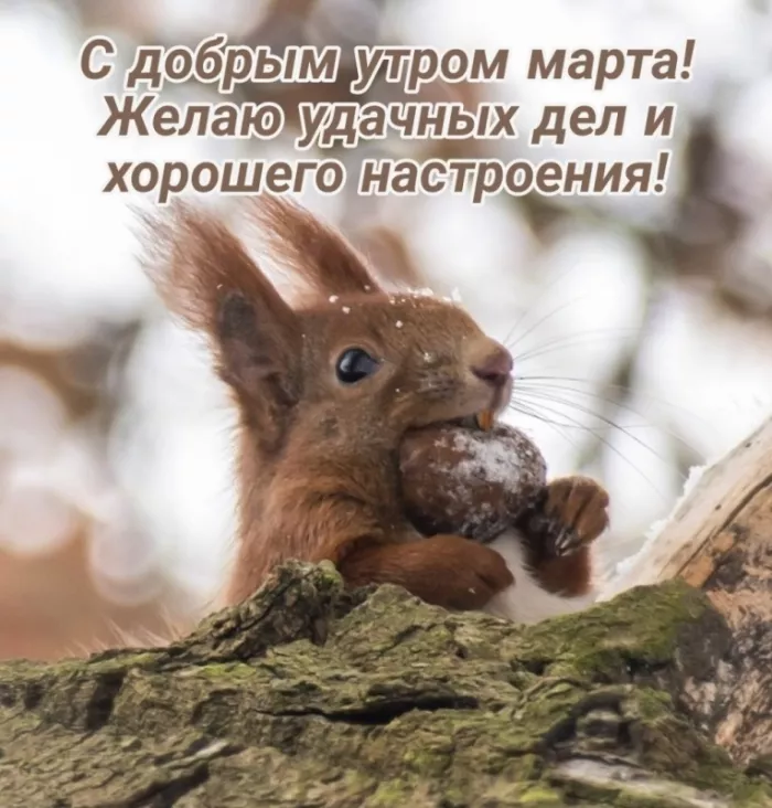 Красивые картинки и гифки Доброе утро марта. Картинки с добрым утром март