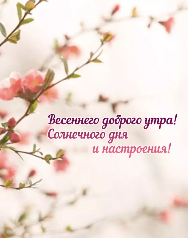 Красивые картинки Доброго весеннего утра. Добра с утра картинки новые весенние