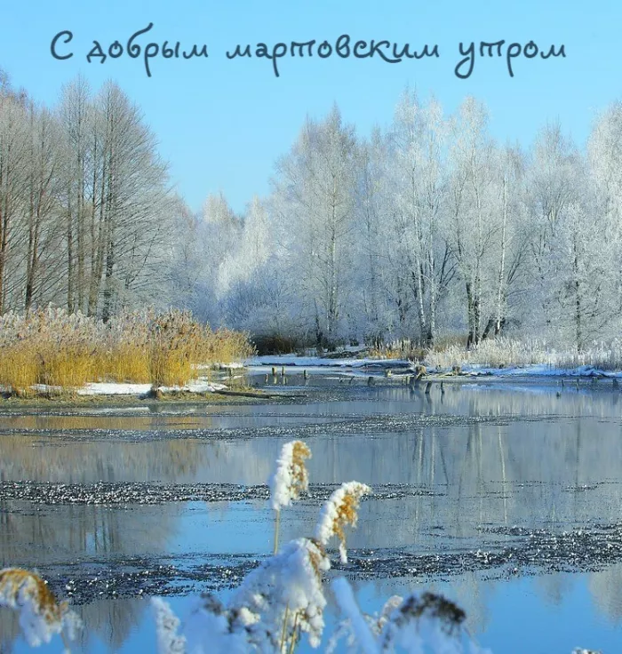 Красивые картинки и гифки Доброе утро марта. Картинки с добрым утром март