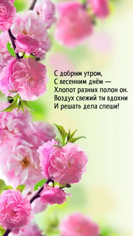 Красивые картинки Доброго весеннего утра. Добра с утра картинки новые весенние