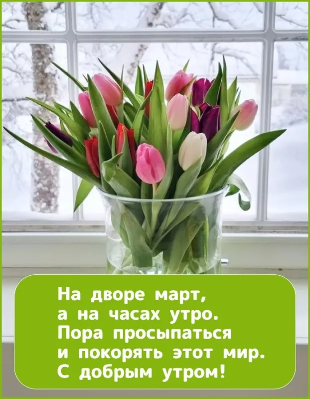 Красивые картинки и гифки Доброе утро марта. Картинки с добрым утром март
