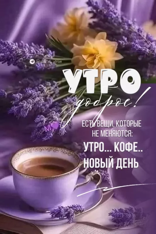 Красивые картинки Доброго весеннего утра. Картинки с добрым утром весенние бесплатно