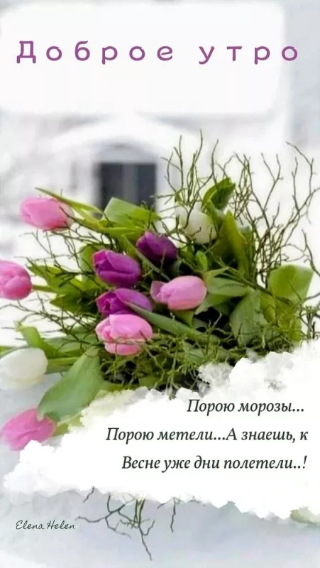Красивые картинки Доброго весеннего утра. Картинки с добрым утром весенние бесплатно