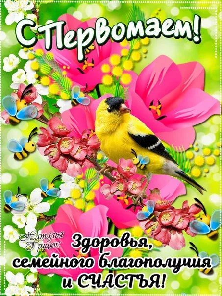 Открытки с Днем 1 мая . Прикольные открытки на 1 мая