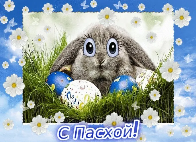 Картинки с Пасхой. Открытки с пасхой красивые бесплатно