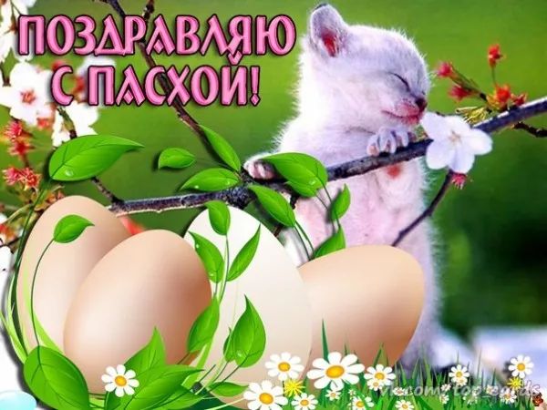 Картинки с пасхой. Бесплатные картинки с пасхой
