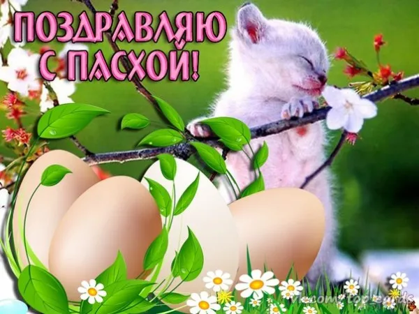 Картинки с Пасхой. Бесплатные картинки с пасхой