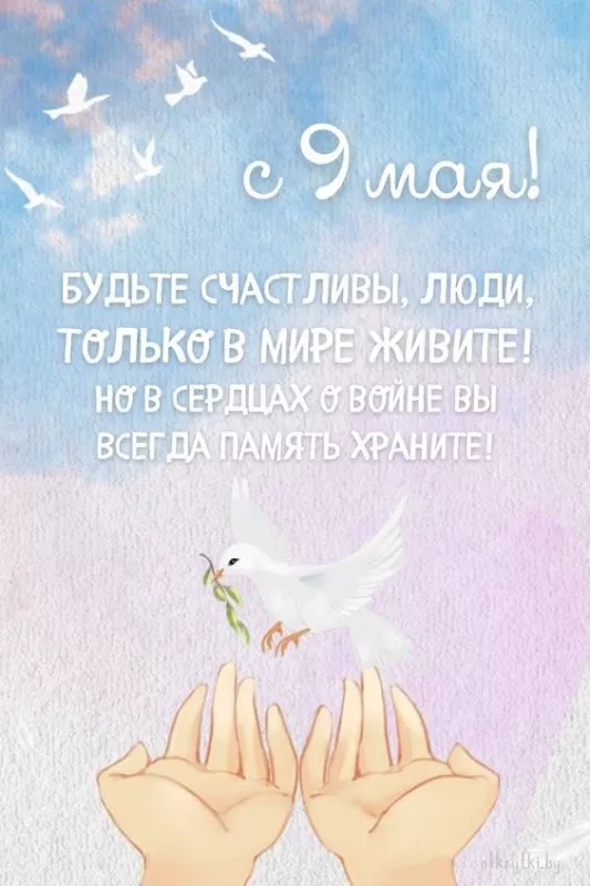  Открытка с 9 мая . Красивые открытки с днем победы 9 мая&nbsp;