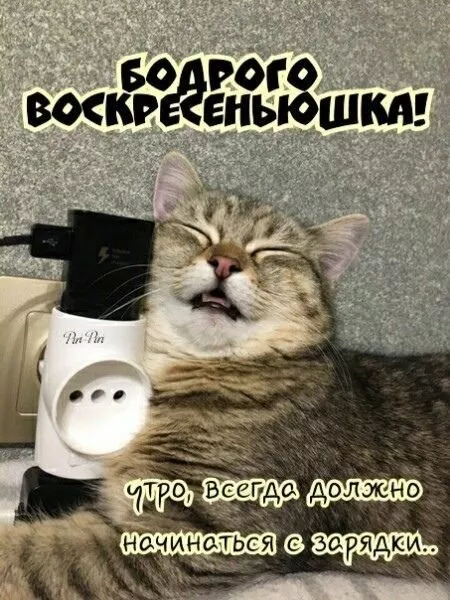 Картинки Доброе утро воскресенья. Доброе утро воскресенья картинки новые