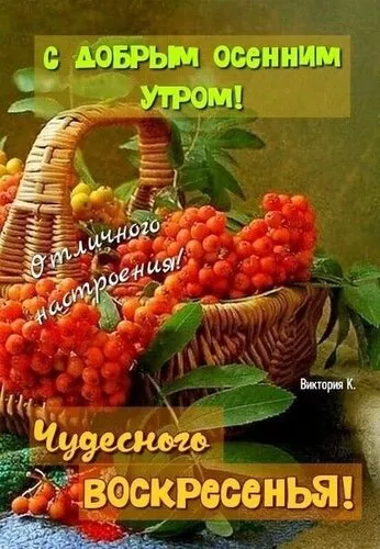 Картинки Доброе утро воскресенья. Доброе утро воскресенья картинки прикольные