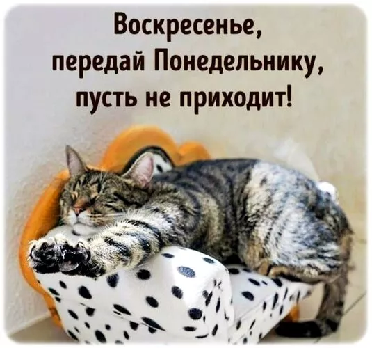 Картинки Доброе утро воскресенья. Доброе утро воскресенья картинки красивые
