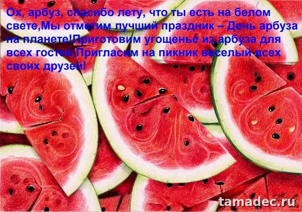 Картинки с Днем арбуза (90 открыток). С днем арбуза картинки прикольные