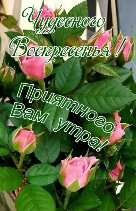 Картинки Доброе утро воскресенья. Доброе утро воскресенья картинки пожелания летние