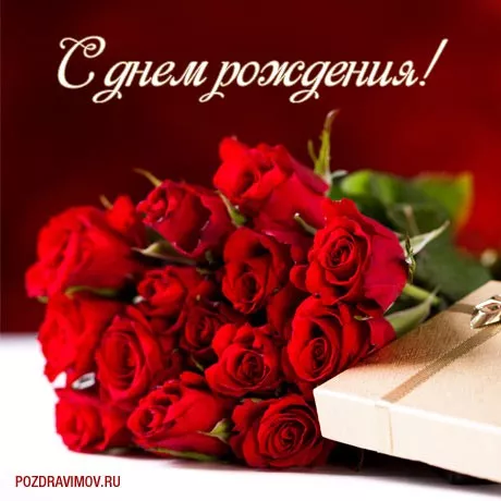 Картинки с днем рождения женщине . Бесплатные картинки с днем рождения женщине