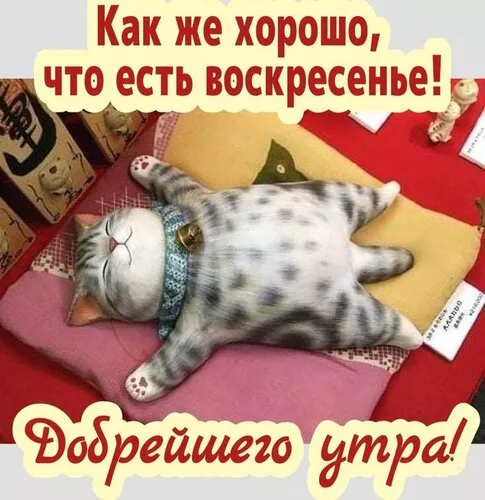 Картинки Доброе утро воскресенья. Доброе утро картинки воскресенья пожелания красивые