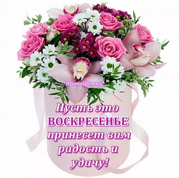 Картинки Доброе утро воскресенья. Доброе утро картинки воскресенья пожелания красивые