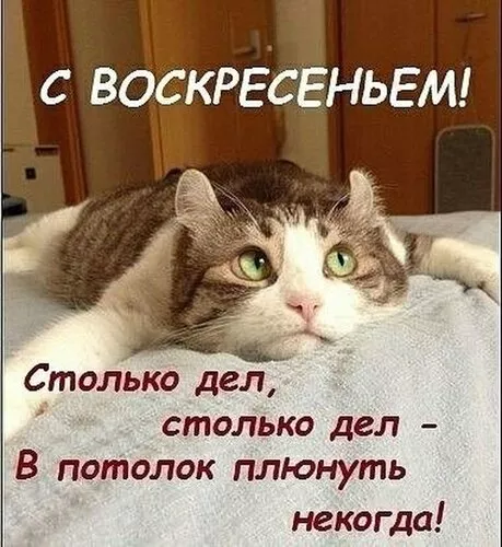 Картинки Доброе утро воскресенья. Доброе утро воскресенья картинки новые